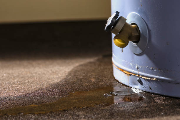 Best Water damage restoration mold remediation  in West Jordan, UT