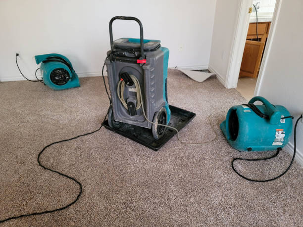Best Water damage contractors near me  in West Jordan, UT