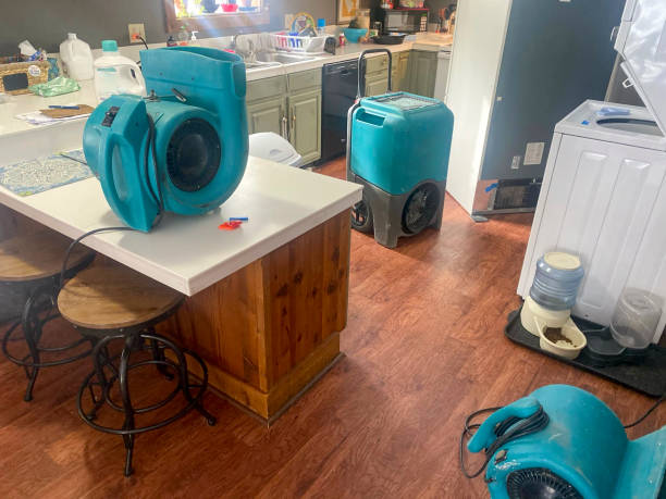  West Jordan, UT Water damage restoration Pros