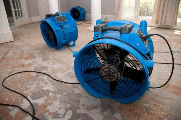 Best Commercial water damage restoration  in West Jordan, UT