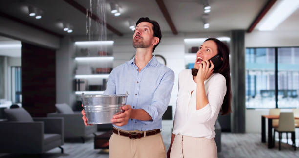 Best Water damage cleanup near me  in West Jordan, UT