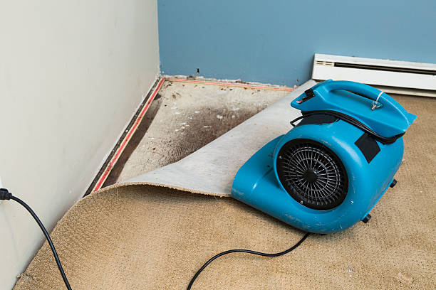 Best Fire Damage Restoration  in West Jordan, UT